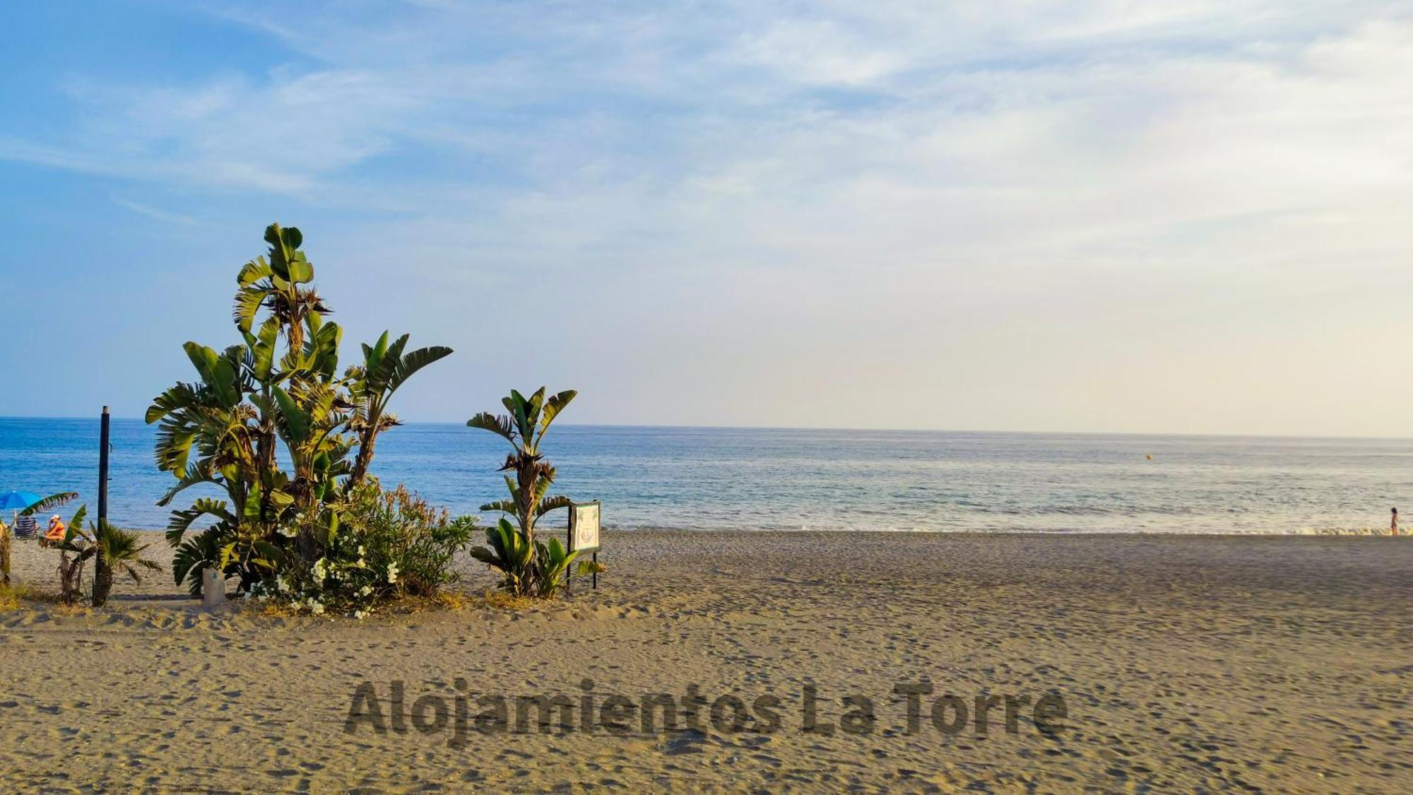 Laguna Beach Premium - Alojamientos La Torre 토록스 외부 사진